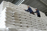 Đấu thầu mua 220.000 tấn gạo nhập kho dự trữ quốc gia trong năm 2023