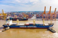 Ban hành Nghị định quy định Biểu thuế xuất khẩu, thuế nhập khẩu ưu đãi áp dụng từ 15/7/2023