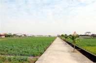 Công nhận thêm 2 huyện thuộc tỉnh Trà Vinh đạt chuẩn nông thôn mới 