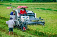 Thúc đẩy tiến độ giải ngân vốn thực hiện các chương trình mục tiêu quốc gia