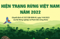 Hiện trạng rừng Việt Nam năm 2022