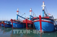 Đặt mục tiêu đến tháng 10/2023 gỡ cảnh báo "Thẻ vàng" IUU