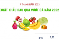 Tính chung 7 tháng đầu năm 2023, xuất khẩu rau quả đã vượt cả năm 2022