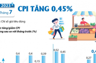 Chỉ số giá tiêu dùng (CPI) tháng 7/2023 tăng 0,45%