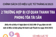 Hai trường hợp bị cơ quan thanh tra phong tỏa tài sản từ 15/8/2023