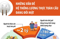 Những vấn đề hệ thống lương thực toàn cầu đang đối mặt