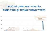 FAO: Chỉ số giá lương thực thế giới tăng trở lại trong tháng 7/2023