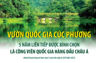 Vườn Quốc gia Cúc Phương - Công viên Quốc gia hàng đầu châu Á