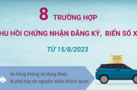 Tám trường hợp thu hồi chứng nhận đăng ký, biển số xe từ 15/8/2023
