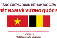 Tăng cường quan hệ hợp tác giữa Việt Nam và Vương quốc Bỉ