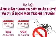 Hà Nội: Tăng gần 1.000 ca sốt xuất huyết và 71 ổ dịch mới trong 1 tuần