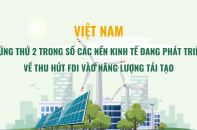 Việt Nam đứng thứ 2 trong số các nền kinh tế đang phát triển về thu hút FDI vào năng lượng tái tạo