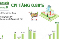 Chỉ số giá tiêu dùng (CPI) tháng 8/2023 tăng 0,88%