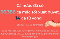 Cả nước đã có 66.386 ca mắc sốt xuất huyết, 14 ca tử vong