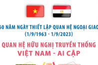 Quan hệ hữu nghị truyền thống Việt Nam - Ai Cập