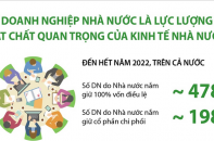 Doanh nghiệp Nhà nước là lực lượng vật chất quan trọng của kinh tế nhà nước