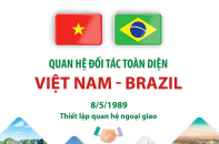 Quan hệ Đối tác toàn diện Việt Nam - Brazil