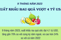 Xuất khẩu rau quả vượt 4 tỷ USD sau 9 tháng năm 2023