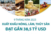 Xuất khẩu nông, lâm, thủy sản 9 tháng năm 2023 đạt gần 38,5 tỷ USD