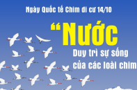 Ngày Quốc tế Chim di cư năm 2023 có chủ đề "Nước: Duy trì sự sống của các loài chim"