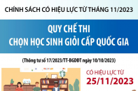 Quy chế thi chọn học sinh giỏi cấp quốc gia có hiệu lực từ 25/11/2023