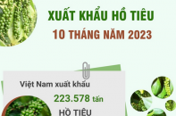 Xuất khẩu hồ tiêu đạt 750,8 triệu USD sau 10 tháng năm 2023