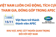 Việt Nam luôn chủ động, tích cực tham gia, đóng góp trong APEC