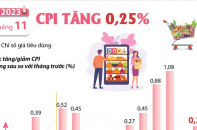 CPI tháng 11/2023 tăng 0,25%