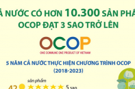 Cả nước có hơn 10.300 sản phẩm OCOP đạt 3 sao trở lên