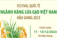 Festival Quốc tế ngành hàng lúa gạo Việt Nam - Hậu Giang 2023