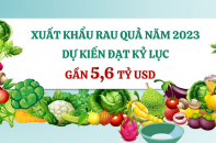 Xuất khẩu rau quả năm 2023 dự kiến đạt kỷ lục gần 5,6 tỷ USD