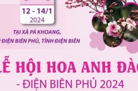 Lễ hội Hoa anh đào - Điện Biên Phủ năm 2024