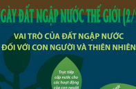 Vai trò của đất ngập nước đối với con người và thiên nhiên