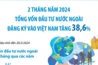 Tổng vốn đầu tư nước ngoài đăng ký vào Việt Nam tăng 38,6% sau 2 tháng năm 2024