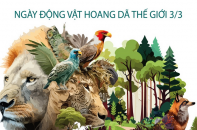Ngày Động vật hoang dã thế giới (3/3): Làm gì để bảo vệ động vật hoang dã?