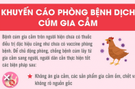 Khuyến cáo phòng bệnh dịch cúm gia cầm