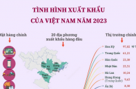 Tình hình xuất khẩu của Việt Nam năm 2023