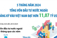 Tổng vốn đầu tư nước ngoài đăng ký vào Việt Nam đạt hơn 11 tỷ USD sau 5 tháng năm 2024
