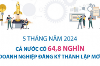 Cả nước có 64,8 nghìn doanh nghiệp đăng ký thành lập mới sau 5 tháng năm 2024