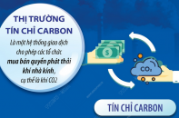 Những điều cần biết về thị trường carbon