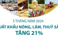 Xuất khẩu nông, lâm, thủy sản tăng 21% sau 5 tháng năm 2024