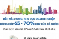 Đến năm 2030, khu vực doanh nghiệp đóng góp từ 65 - 70% GDP của cả nước