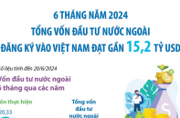 Tổng vốn đầu tư nước ngoài đăng ký vào Việt Nam đạt gần 15,2 tỷ USD sau 6 tháng năm 2024