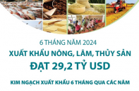 Xuất khẩu nông, lâm, thủy sản đạt 29,2 tỷ USD sau 6 tháng năm 2024
