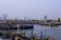 Phê duyệt Quy hoạch hệ thống cảng cá, khu neo đậu tránh trú bão cho tàu cá