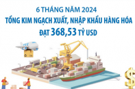 Tổng kim ngạch xuất, nhập khẩu hàng hóa đạt 368,53 tỷ USD sau 6 tháng năm 2024