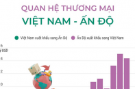 Quan hệ thương mại Việt Nam - Ấn Độ