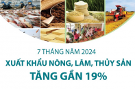 Xuất khẩu nông, lâm, thủy sản tăng gần 19% sau 7 tháng năm 2024