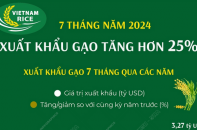 Xuất khẩu gạo tăng hơn 25% sau 7 tháng năm 2024