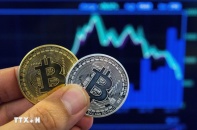 Bitcoin mất mốc 50.000 USD/BTC, rơi xuống mức thấp nhất kể từ tháng 2/2024